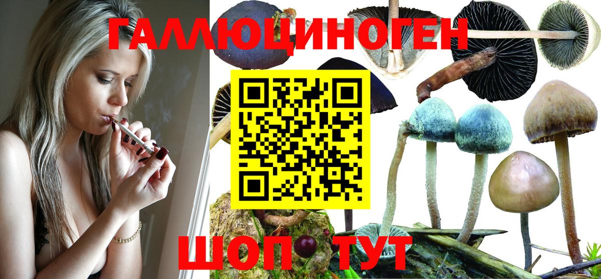 Новотроицк  Псилоцибиновые грибы Psilocybine cubensis  Вход с VPN  Галлюциногенные грибы GOLDEN TEACHER 